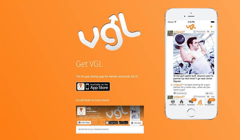 VGL Review – Legit or Scam?